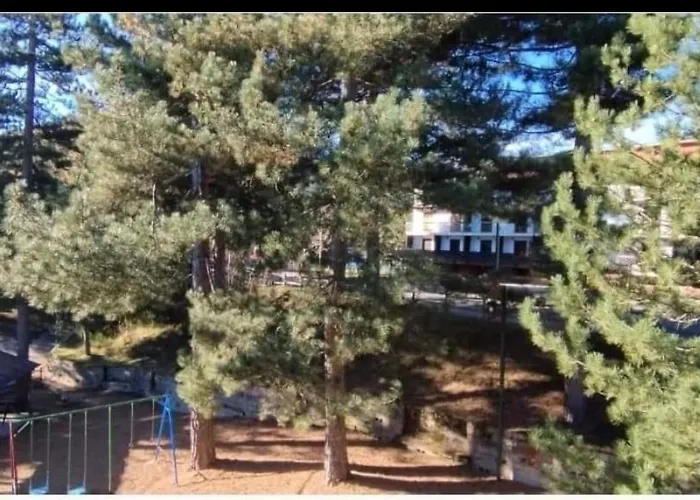 公寓 Genziana Cotronei